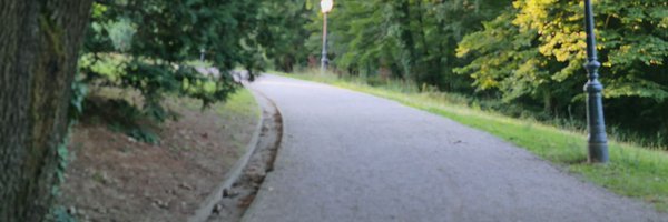 haly0408 Profile Banner