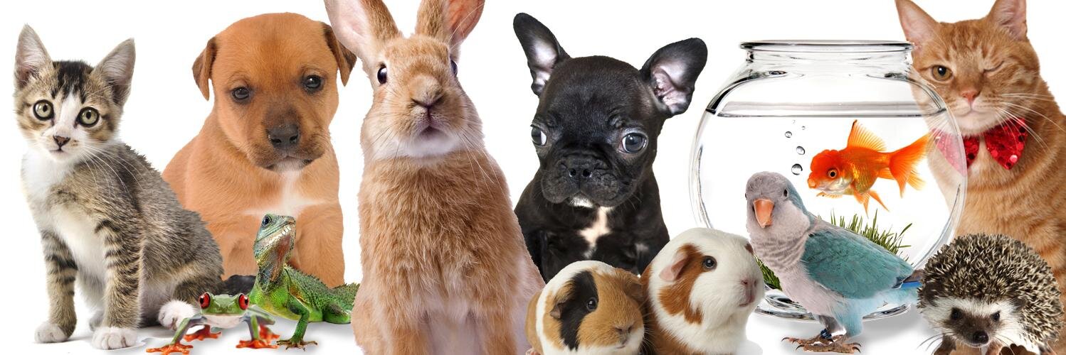 PetGuideUSA's profile banner image
