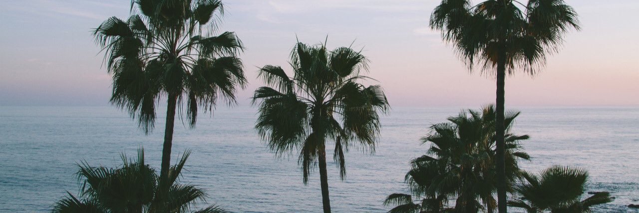lenaneelena's profile banner image
