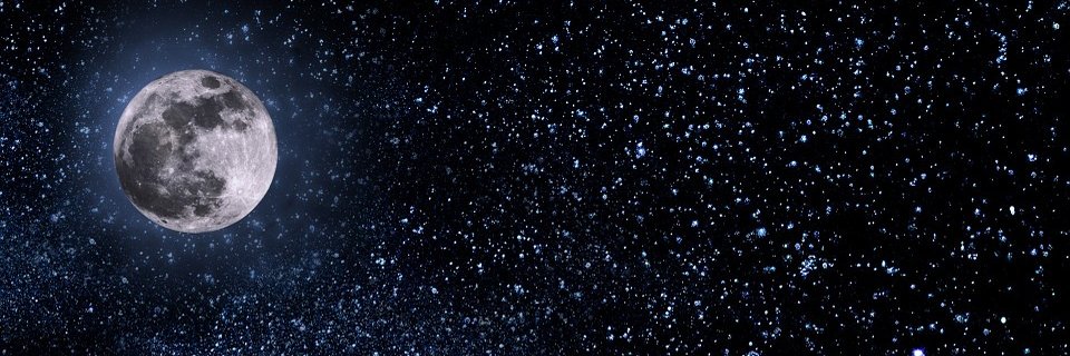 CryptoTherapist's profile banner image
