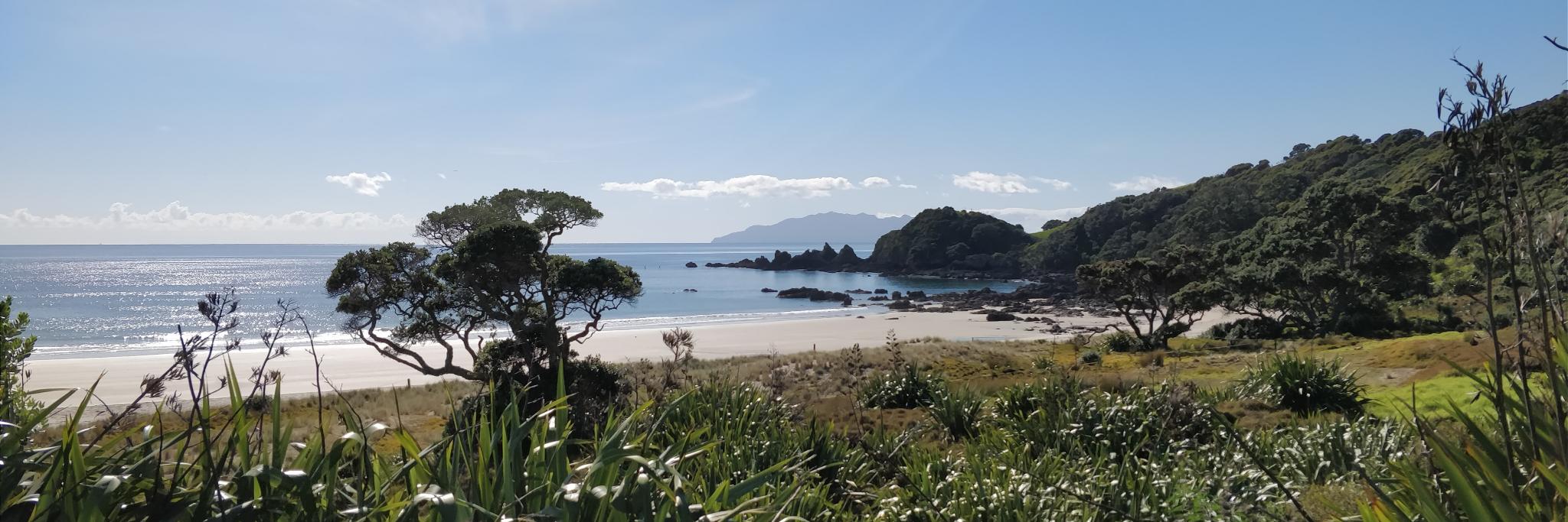 David J. Veer banner