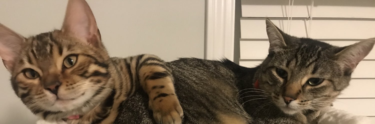RahimaBBBB's profile banner image