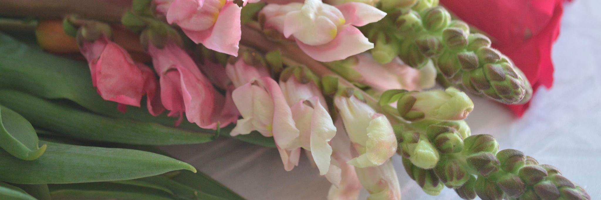 Khalia Spivey banner