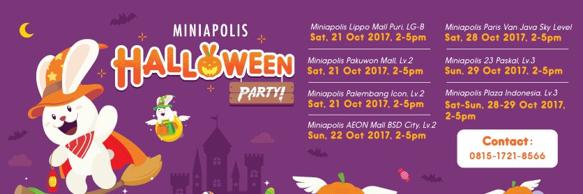 Miniapolis banner