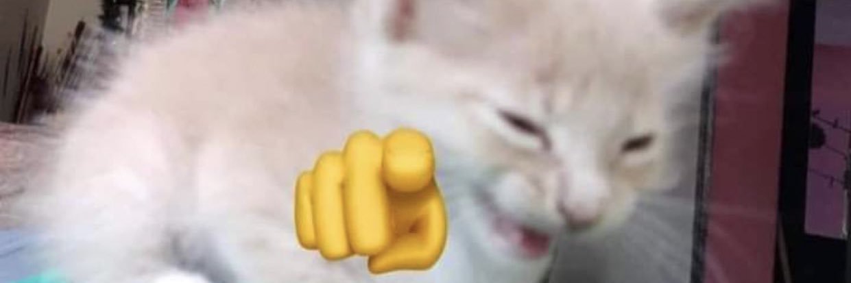 ✎﹏ danára 🇰🇿 banner