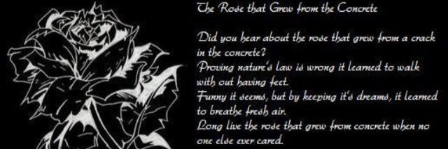 rfpcrawford's profile banner image