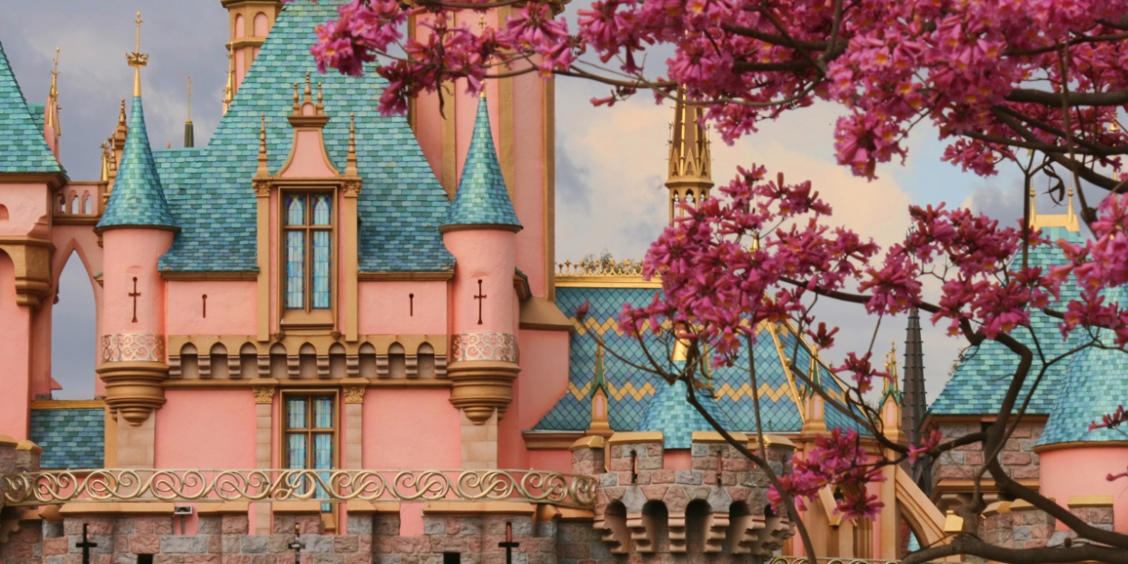 DailyCinderella's profile banner image