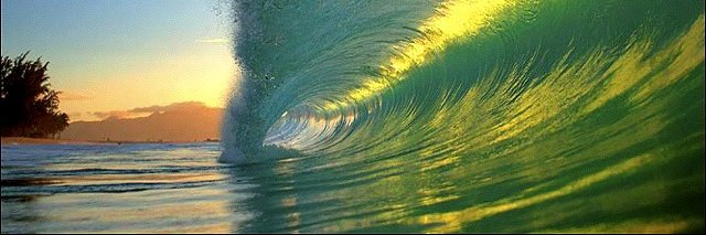 LynnDa00's profile banner image