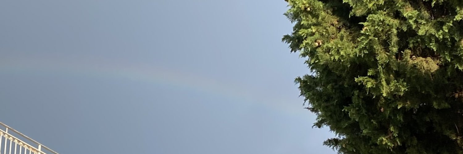 pivotpi_vot's profile banner image