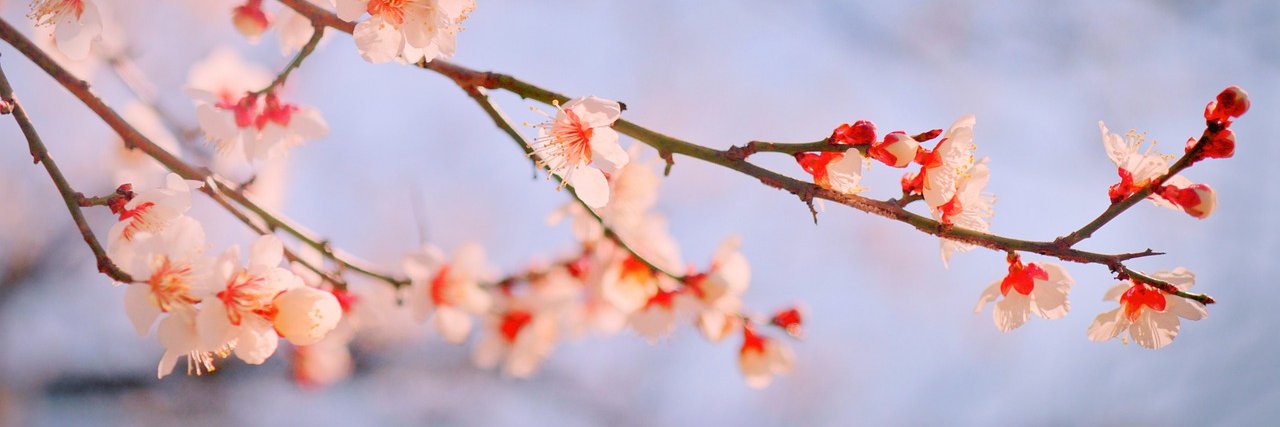 YJ一觉到退休 🌱 banner