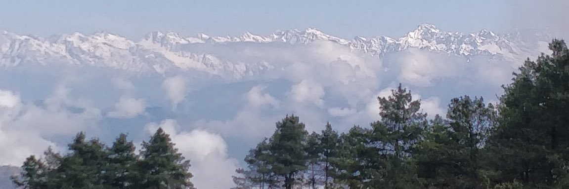 Manali Kulkarni banner