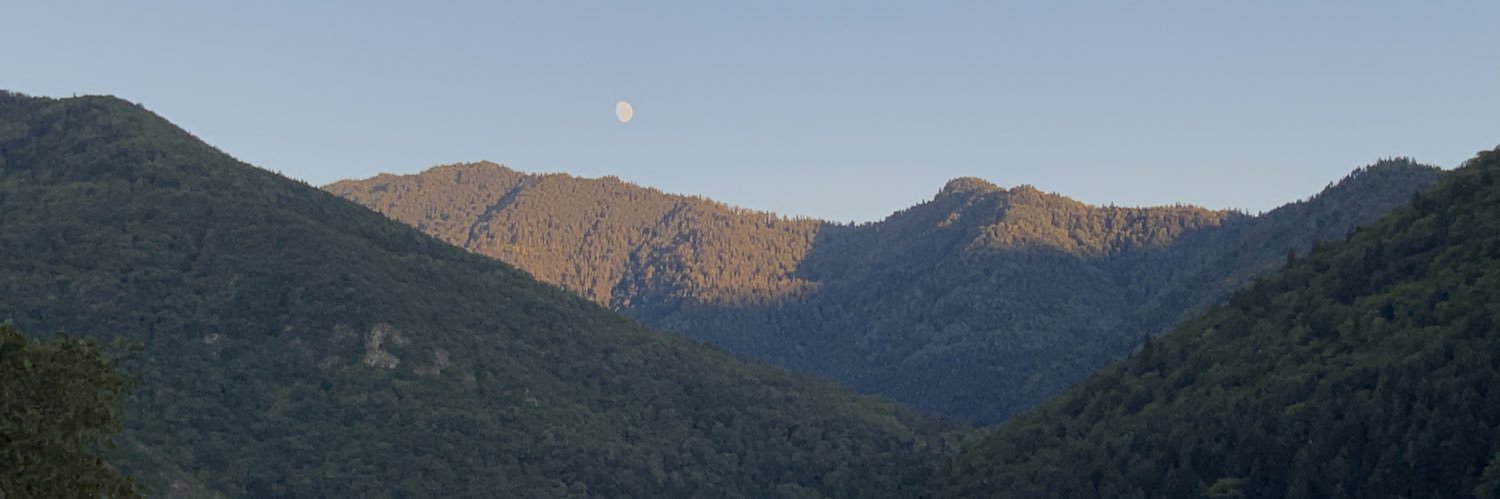 Giorgi Papiashvili, MD, PhD, FESC banner