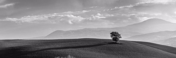 GovConGuy Profile Banner