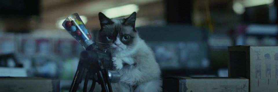 wildfatcat's profile banner image