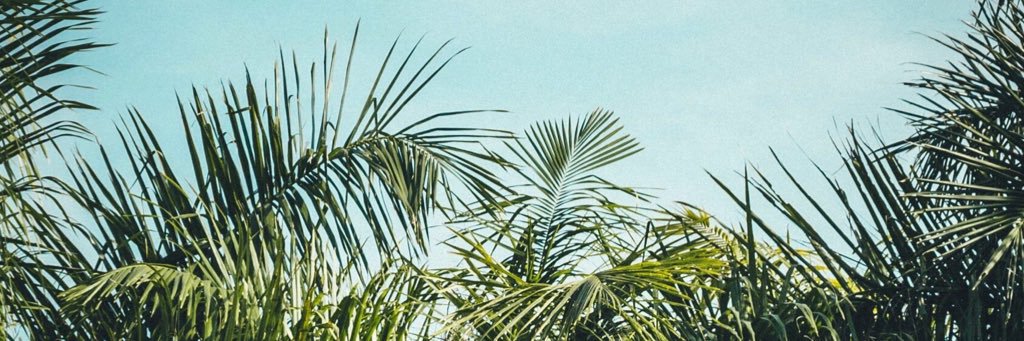 AlexVallarta's profile banner image