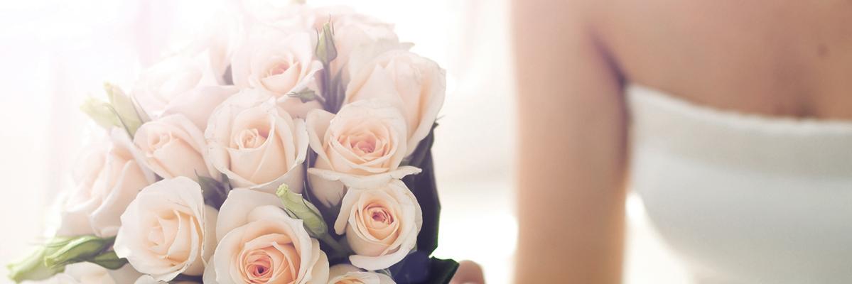AlexisChin2's profile banner image