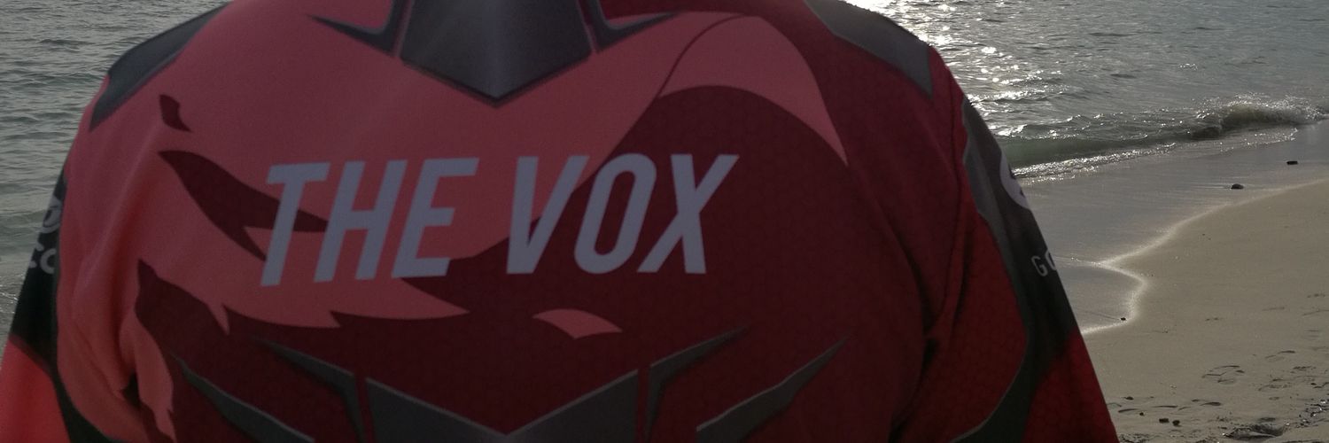 TheVoxInGame's profile banner image