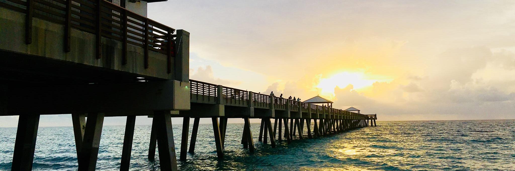 Palm Beach Film & TV banner