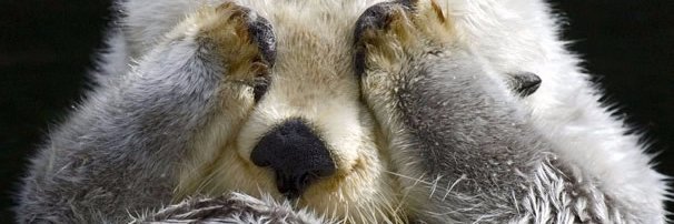 Benj_Gay's profile banner image