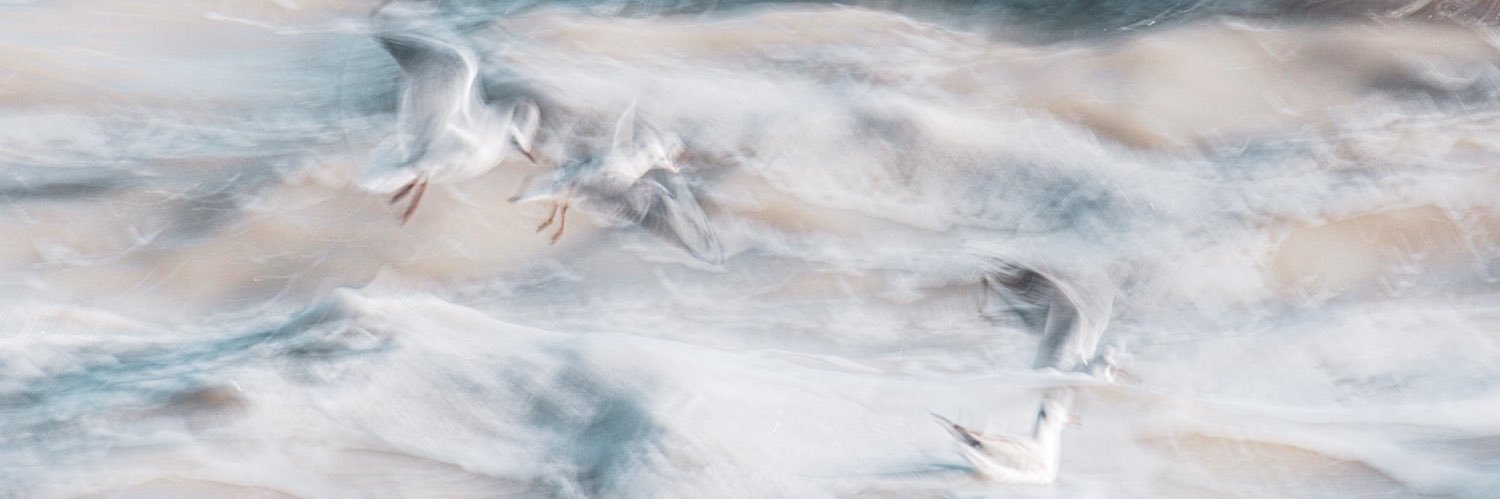 statestudio's profile banner image