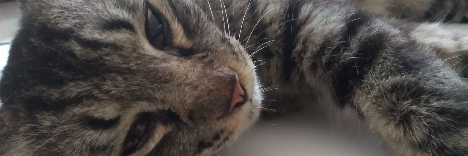 anggiagbe's profile banner image