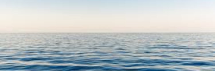 Jimmy Shuffles banner