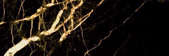 Alx_eo's profile banner image