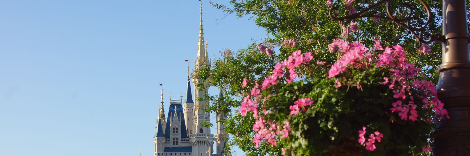 AbbeyRowell's profile banner image