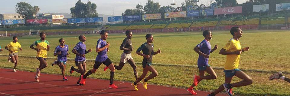 Tadesse Abraham banner