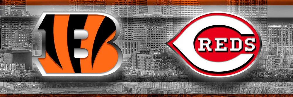 baer_1982's profile banner image