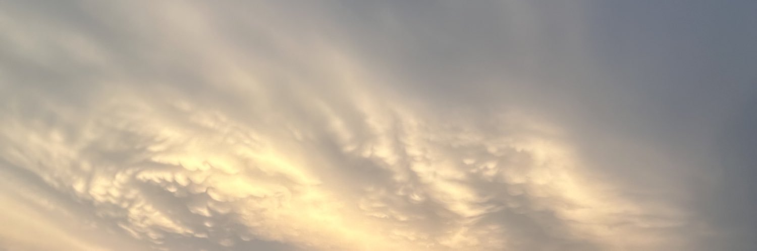 _eg1g's profile banner image