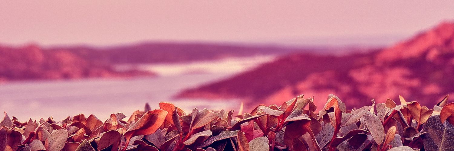Peppo626's profile banner image