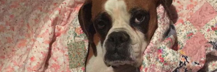 Ladycass92 banner