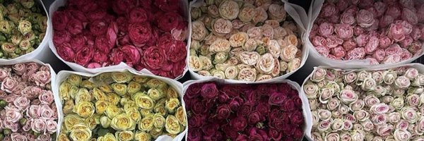 alhussein_01 Profile Banner