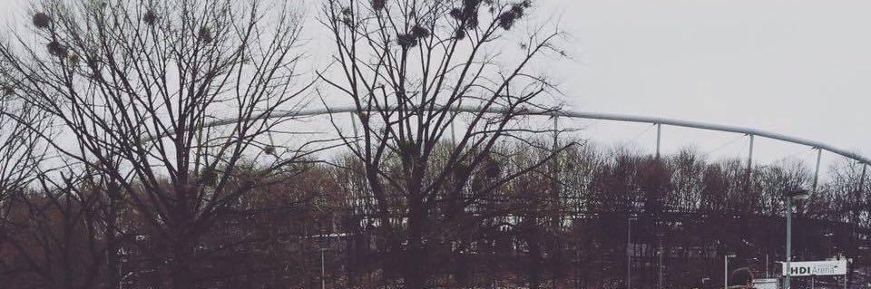 Stephanie Baczyk banner