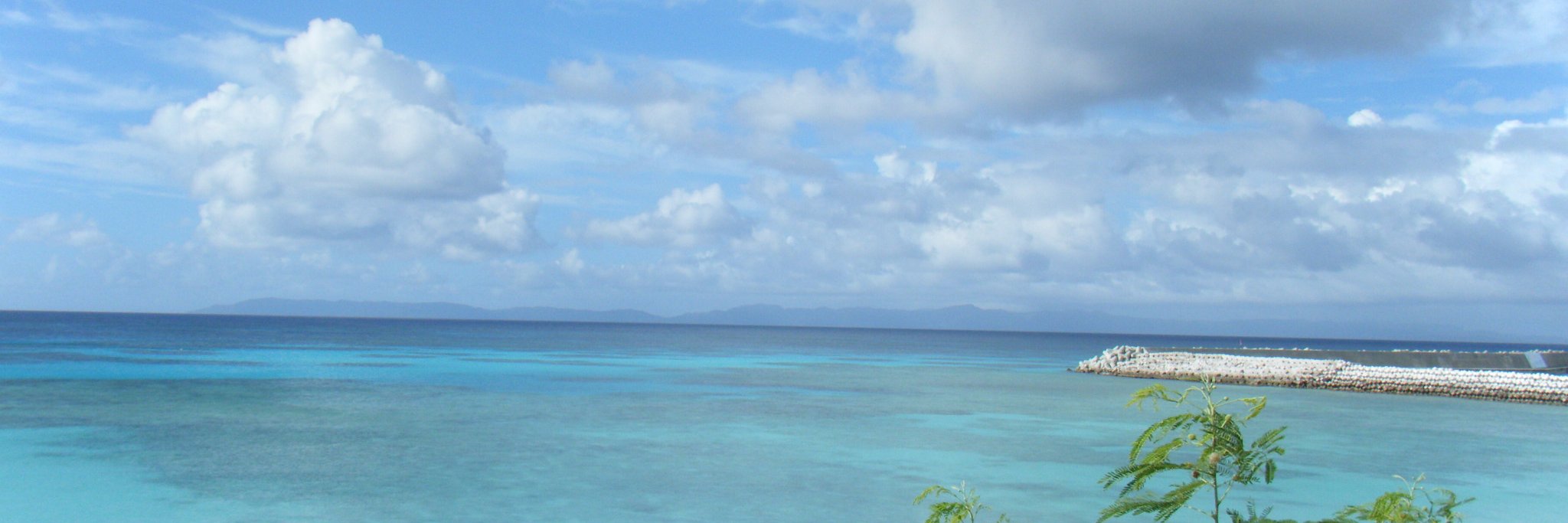 Jess8141's profile banner image