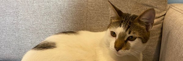 0xkleb Profile Banner