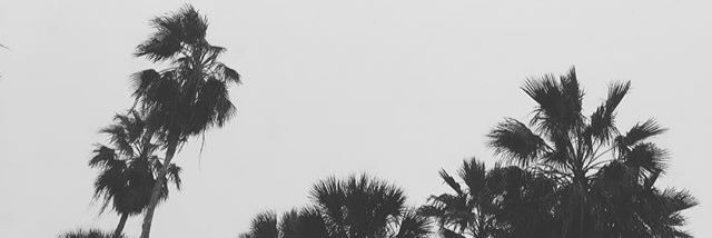BryceBilbao's profile banner image