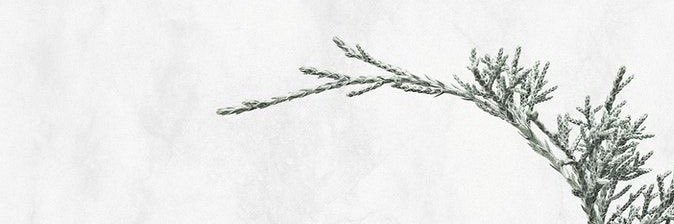 irghad_'s profile banner image