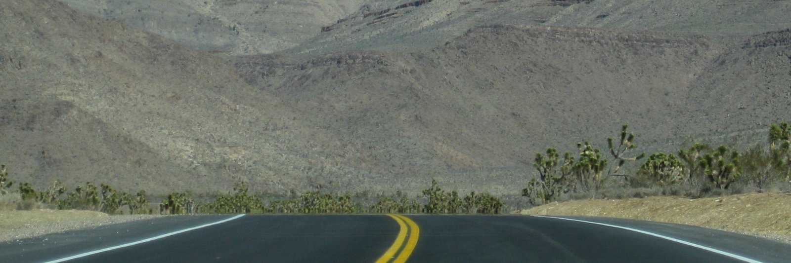Sharky01's profile banner image