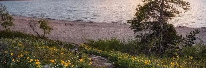 BbiBizzle's profile banner image