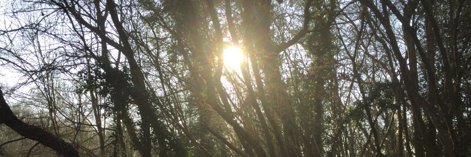 Instar Coaching C.I.C banner