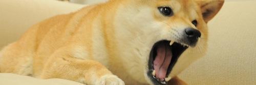 Micky_duZOO's profile banner image