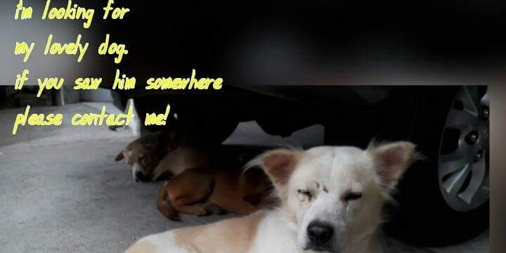 maria iska danu asri banner