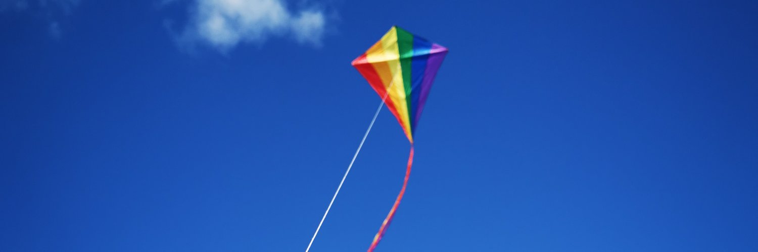 Ned Rise banner