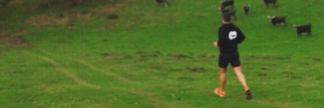 RICARDO ALONSO banner