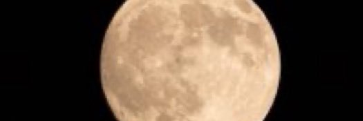 nanatorei's profile banner image