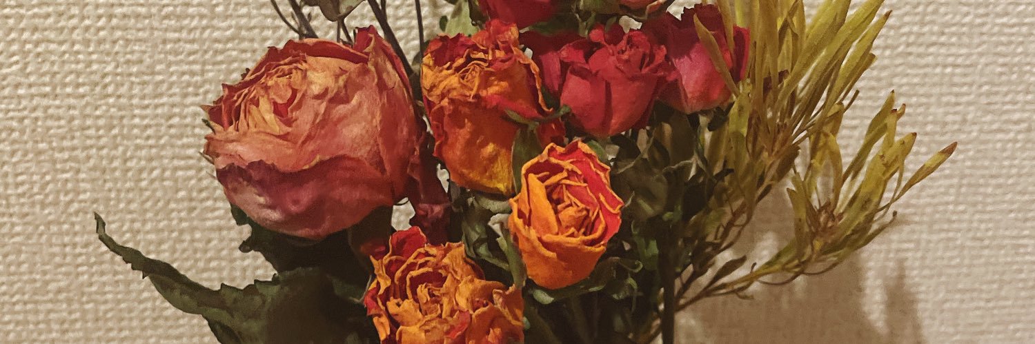 bearichfruit's profile banner image
