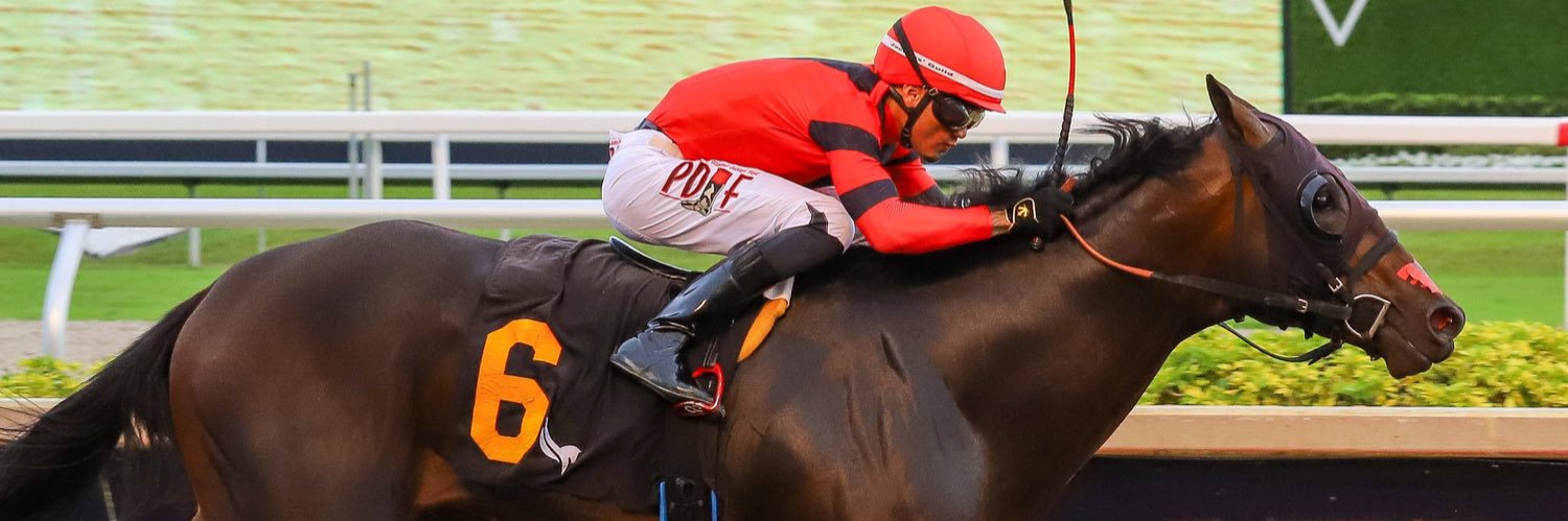 Gerson Racing banner