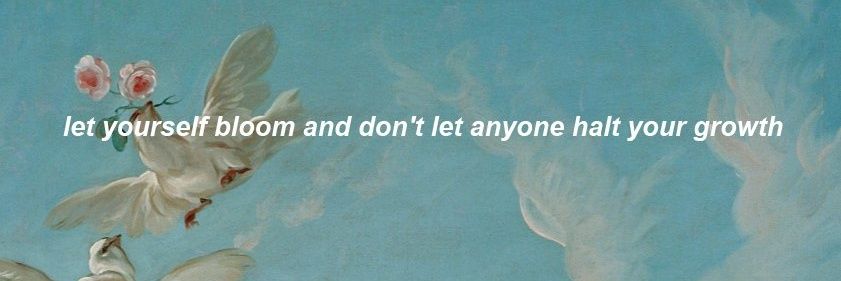 Megan THEE Scallion banner